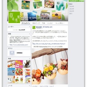 20140911草花木果_500